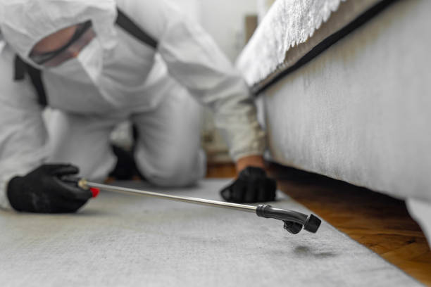 Professional Bed Bug Control technician working in San Castle, FL